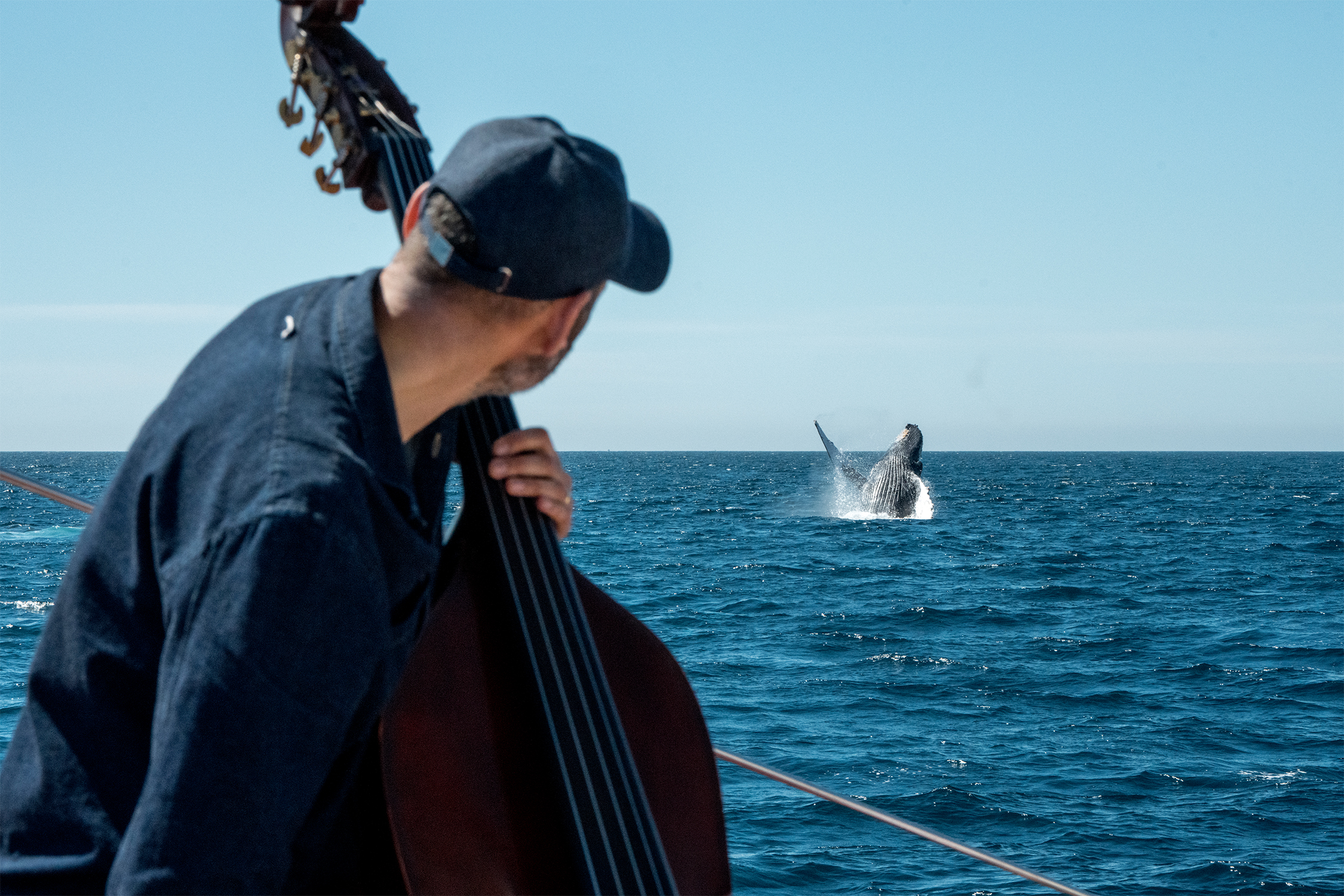 Mountainfilm Reveals its 2026 Minds Moving Mountains Speaker Series Lineup