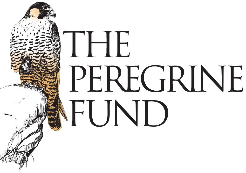 The Peregrine Fund
