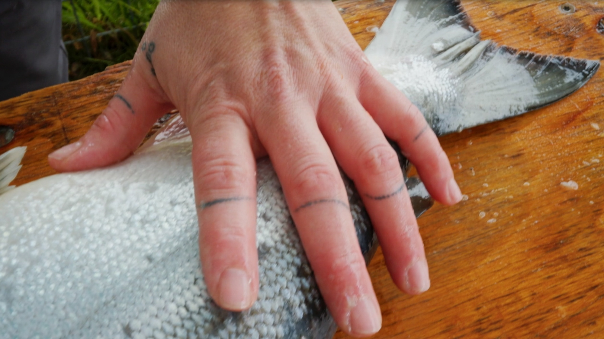 This Is A Story About Salmon