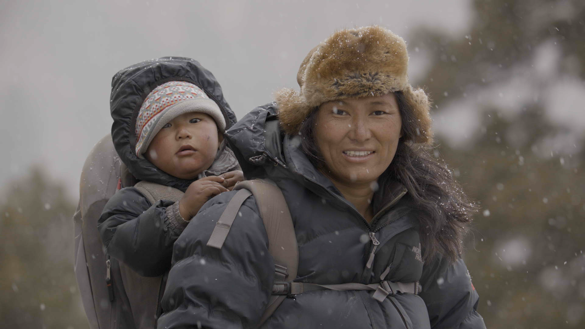 Film Still: Snow Leopard Sisters