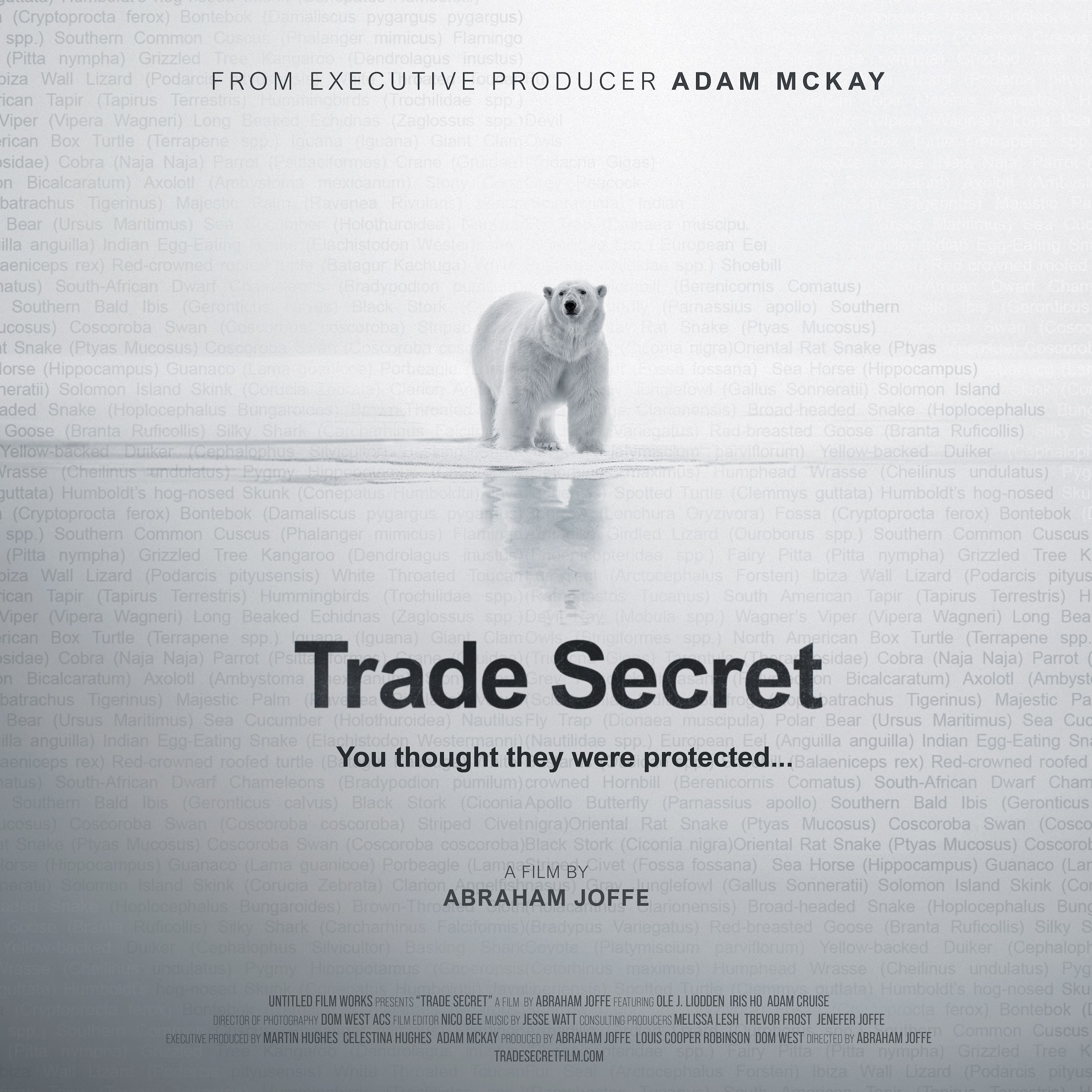 Trade Secret